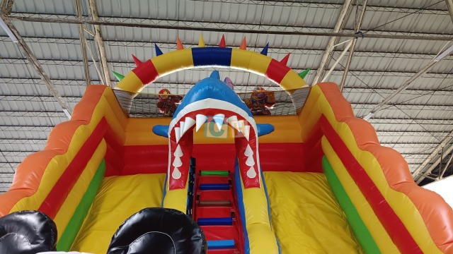 Commercial Inflatable Slides