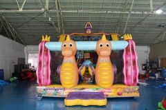 Inflatable Double Slide