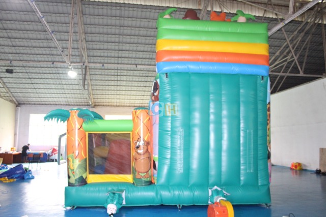Inflatable Bouncy Castle With Slide