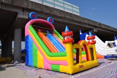 Double Inflatable Slide