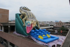 Inflatable water slide and bounce house