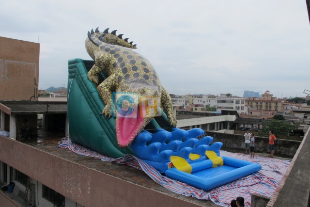 Inflatable water slide and bounce house