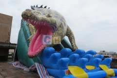 Inflatable water slide and bounce house