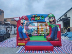 Small Bouncy Castle Indoor