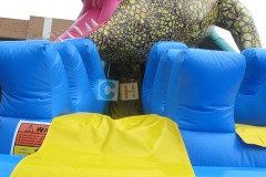 Inflatable water slide and bounce house