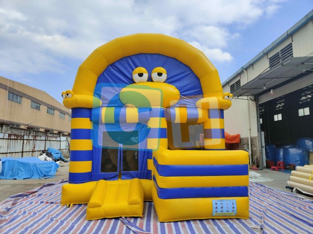 Bouncy Castle Huge