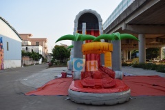 Large inflatable water slide for adults