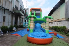Inflatable water slides