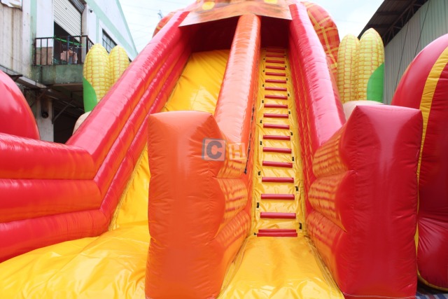 Inflatable.Slip And Slide