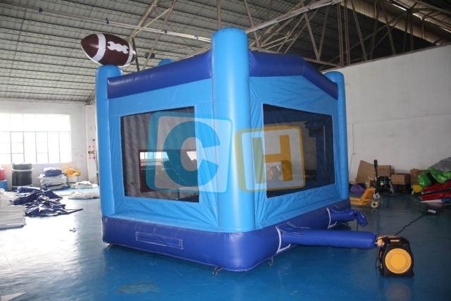 Bouncy Castle For Indoors