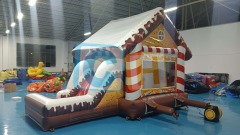 Inflatable Jumpy Castle