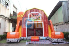 Large Bouncy Castle