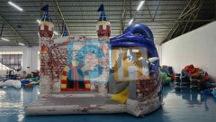 Inflatable Castle With Slide