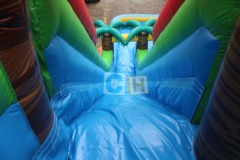 Childrens inflatable water slides
