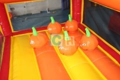 Indoor inflatable playground