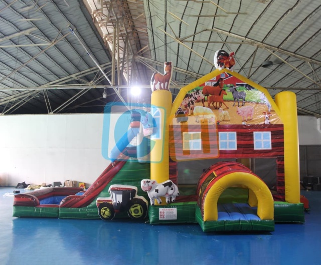 Bouncy Castle With Water