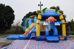 Bouncy Castle With Water Slide