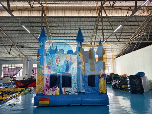 5X4X5m Princess Jump Castle
