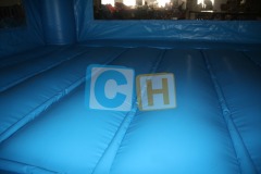 Bouncy Castle For Indoors