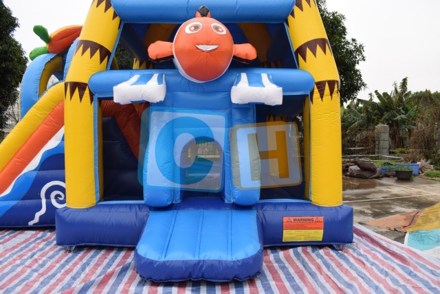 Bouncy Castle With Water Slide