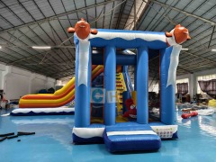 For sale inflatable water slide