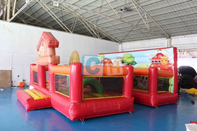 Indoor inflatable playground