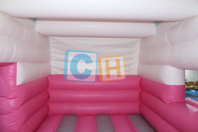 Bouncy Castle And Slide