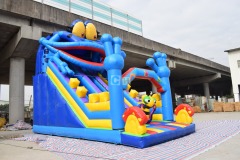 Inflatable Yacht Slide