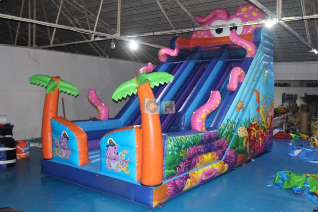 Largest Inflatable Slide