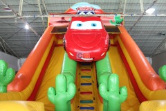 Inflatable With Slide