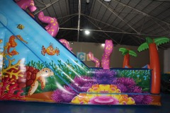 Largest Inflatable Slide