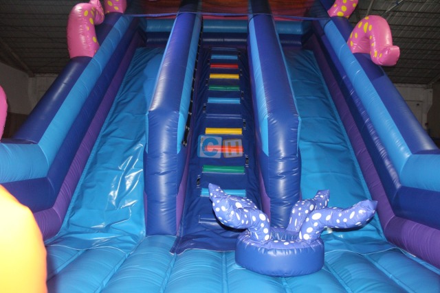 Largest Inflatable Slide