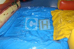 Cactus Theme Adult Bouncy House