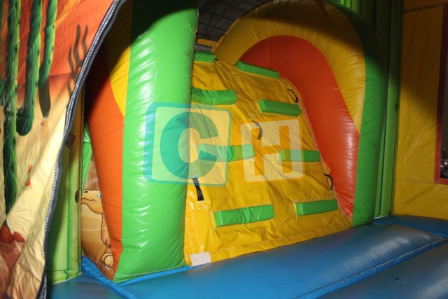 Cactus Theme Adult Bouncy House