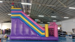 Giant Inflatable Slip And Slide