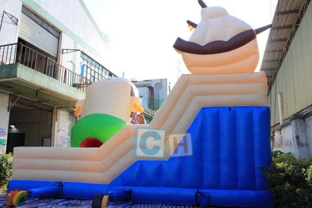 The playground inflatables combo dry slide