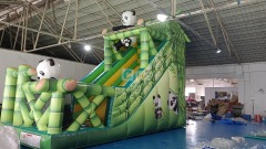 Inflatable Slide Indoor