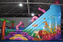 Largest Inflatable Slide