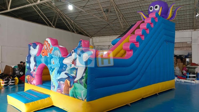 Outdoor inflatable playground