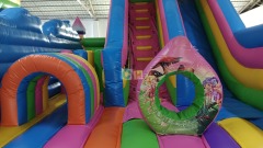 Castle Inflatable Slide
