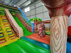 Bouncy Castle Inflatable Slide