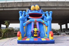 Inflatable Yacht Slide