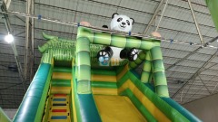 Inflatable Slide Indoor