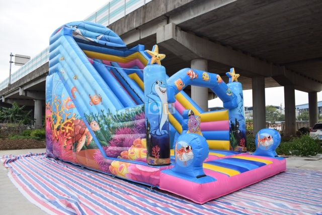 Intex Inflatable Slide