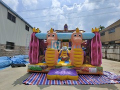 Indoor Inflatable Slide