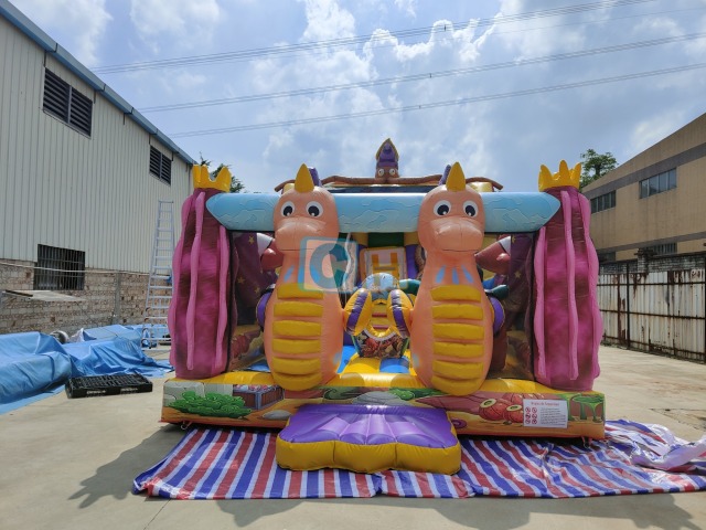 Indoor Inflatable Slide