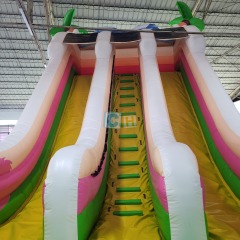 Inflatable Outdoor Slide