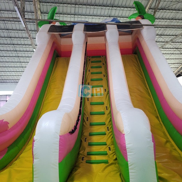 Inflatable Outdoor Slide