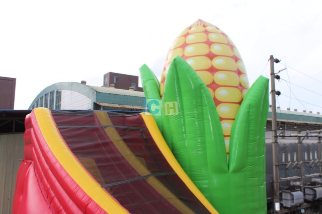 China Inflatable Slide
