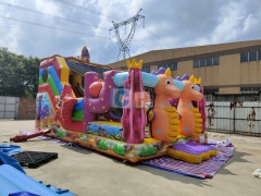 Indoor Inflatable Slide
